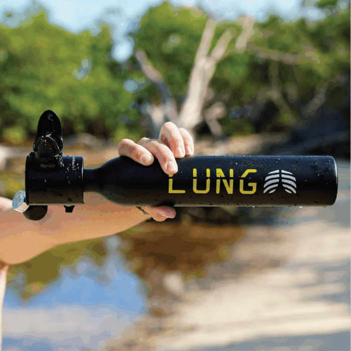 Lung T-500 + Hand Pump - Image 5